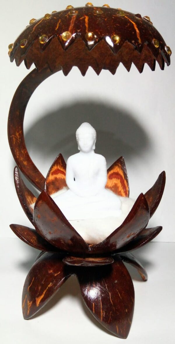 Coconut shell designs
