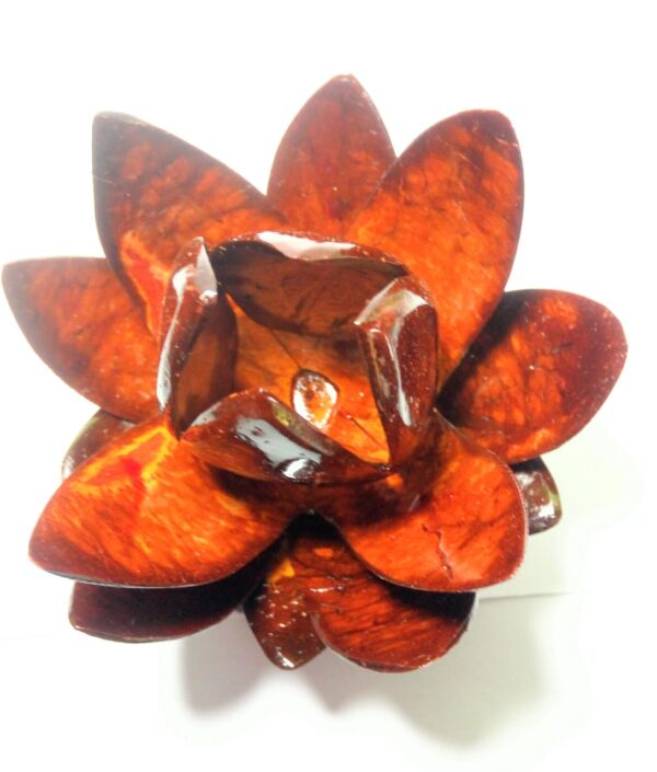 Coconut shell designs