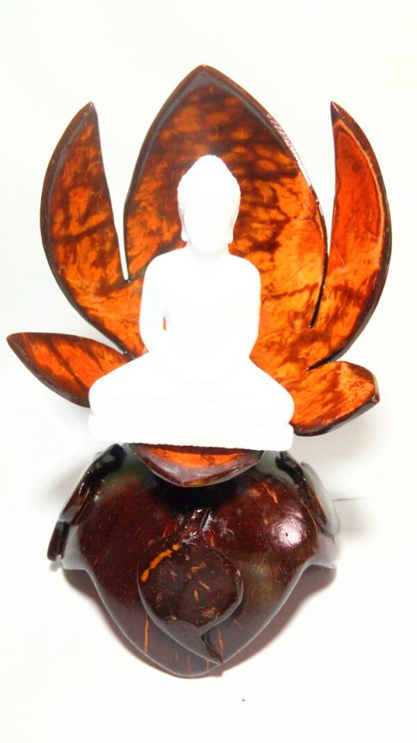 Coconut shell designs