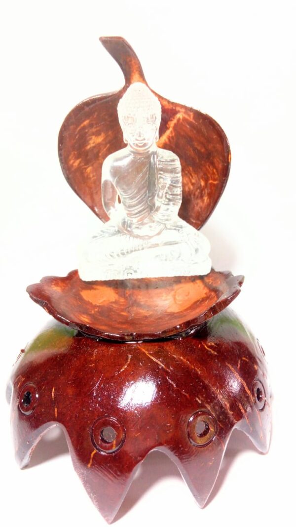 Coconut shell designs
