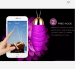 Wireless APP Control multi-speed g spot vibrator for women - Sex toys Sri Lanka