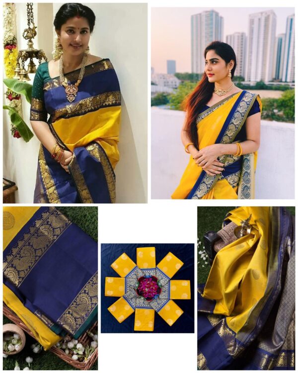 Litchi silk Saree