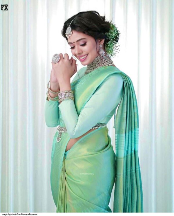 BHARGAVI TEX PRESENT NEW ELEGANT DESIGN  SAREE