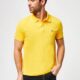 LACOSTE Short Sleeve T-Shirts - Stylish t shirts in Sri Lanka at affordable prices