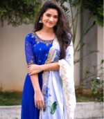 Blue Embroiderery Organza Dupptta