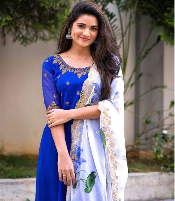 Blue Embroiderery Organza Dupptta