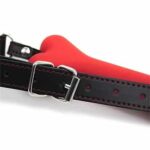 Locking Bone Gag - High-Quality Sex Toy in Sri Lanka
