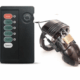 Electric Shock Plastic Male Chastity bdsm sex toy - Buy sex toys Sri Lanka at affordable prices
