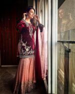 Dark Maroon Embroidery Work Viscose Velvet Lehenga Choli - Buy Sex Toys in Sri Lanka