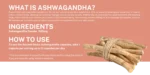 Ashwagandha - 60 capsules - Image 3