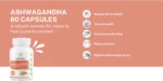 Ashwagandha - 60 capsules - Image 2