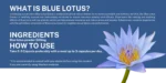 Blue Lotus 60 capsules - Sex Toys Prices in Sri Lanka