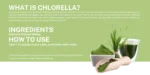 Chlorella - 60 capsules - Image 3