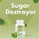 Masbedda Capsule (gurmur) - 60 capsules - Image 2