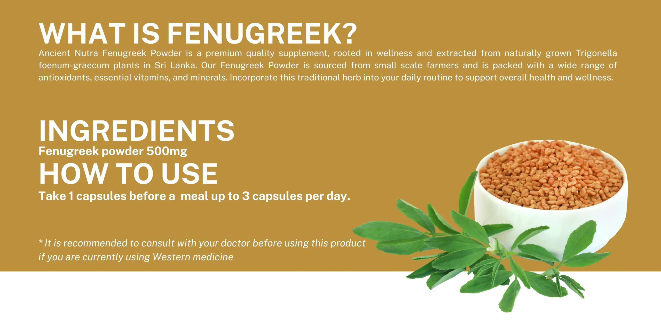 Fenugreek_2