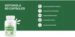 Gotukola - 60 capsules - Image 2