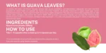 Guvava Leaves 60 Capsules - Image 3
