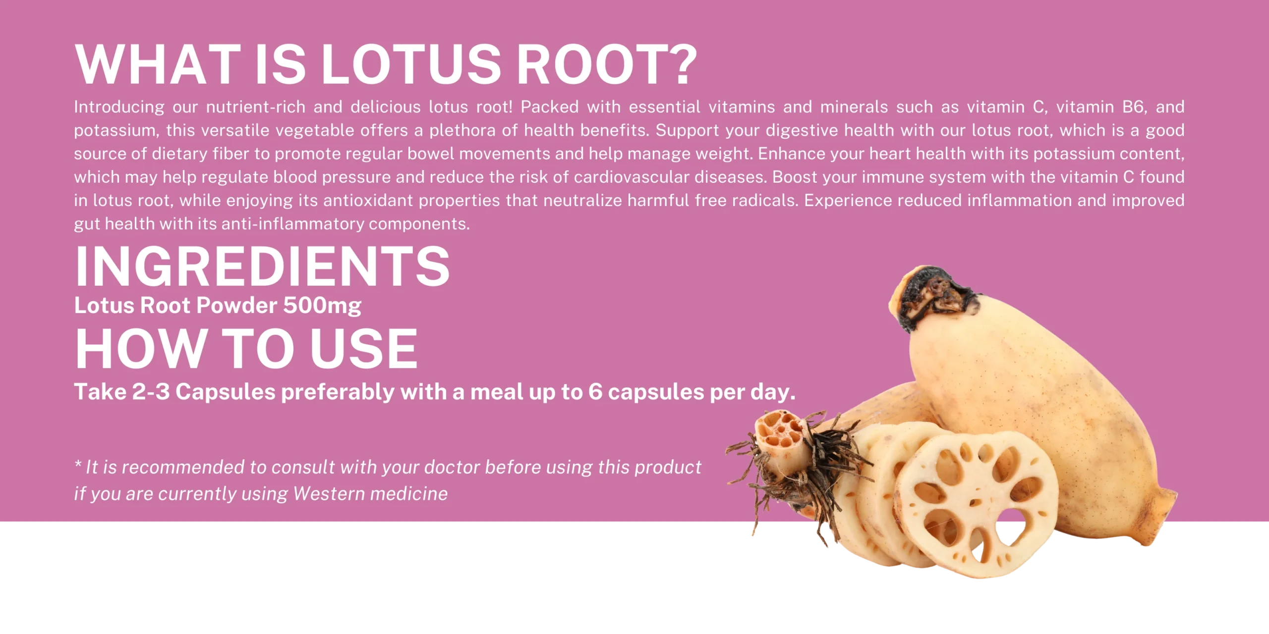 Lotus_root_1