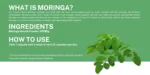 Moringa - 60 capsules - Image 3