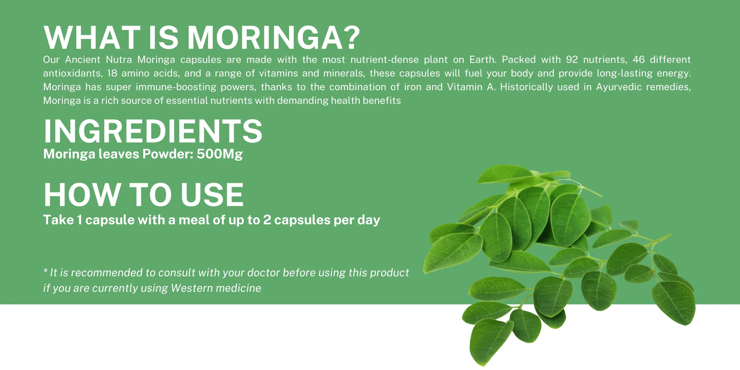 MORINGA_2_d7388836-3d5f-48be-926b-5995b372f6db