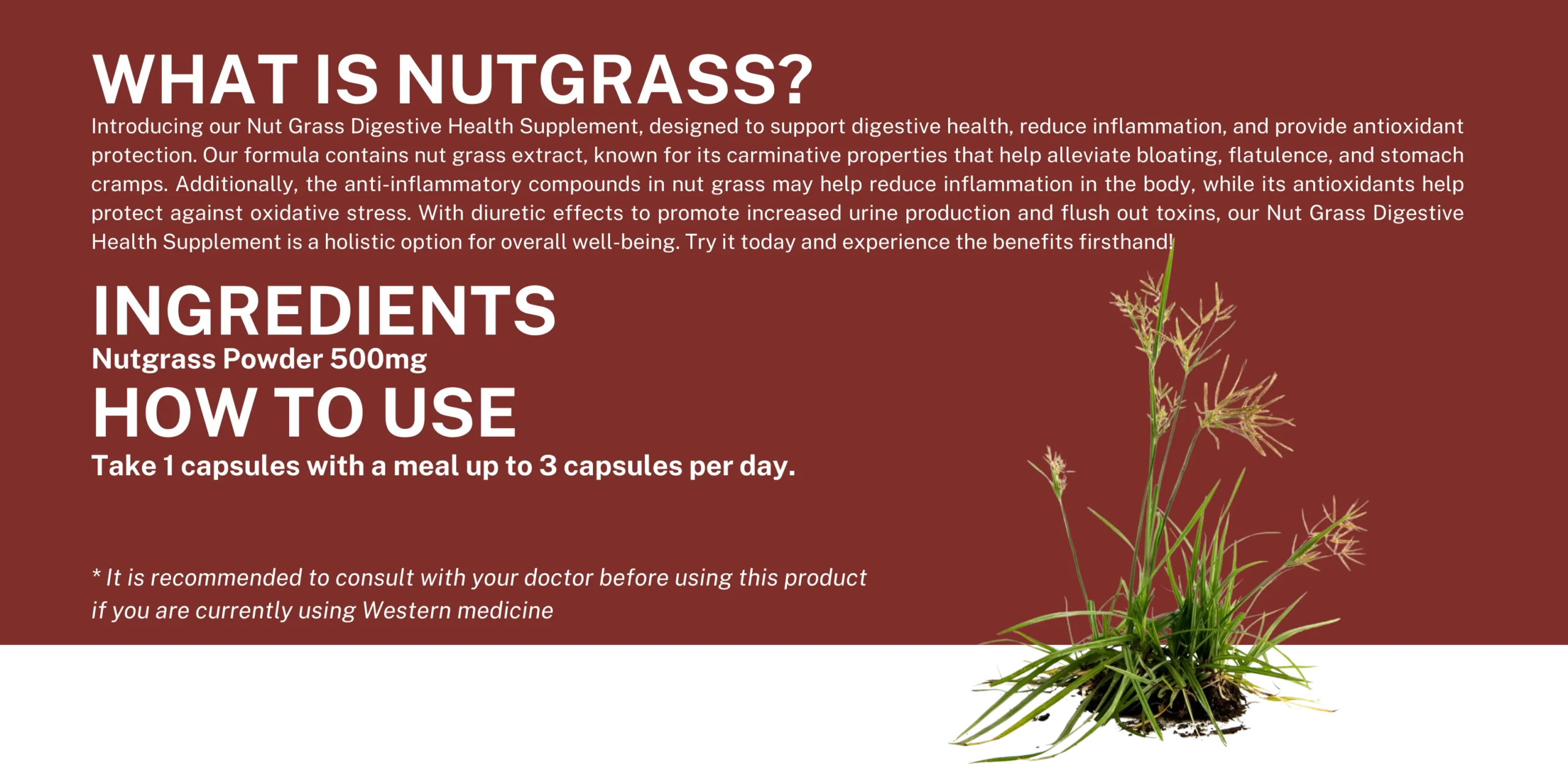 Nutgrass_2