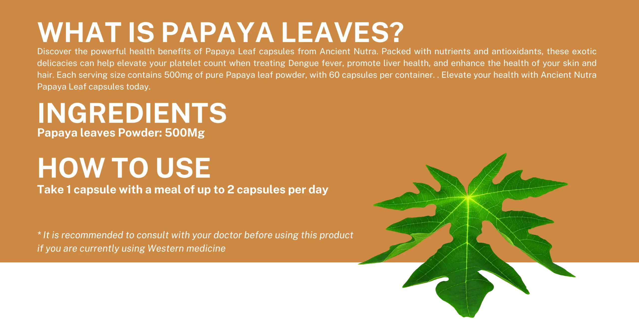 PAPAYA_LEAVES_2_77ead2a1-5511-4cf7-ac0a-452141d9d989