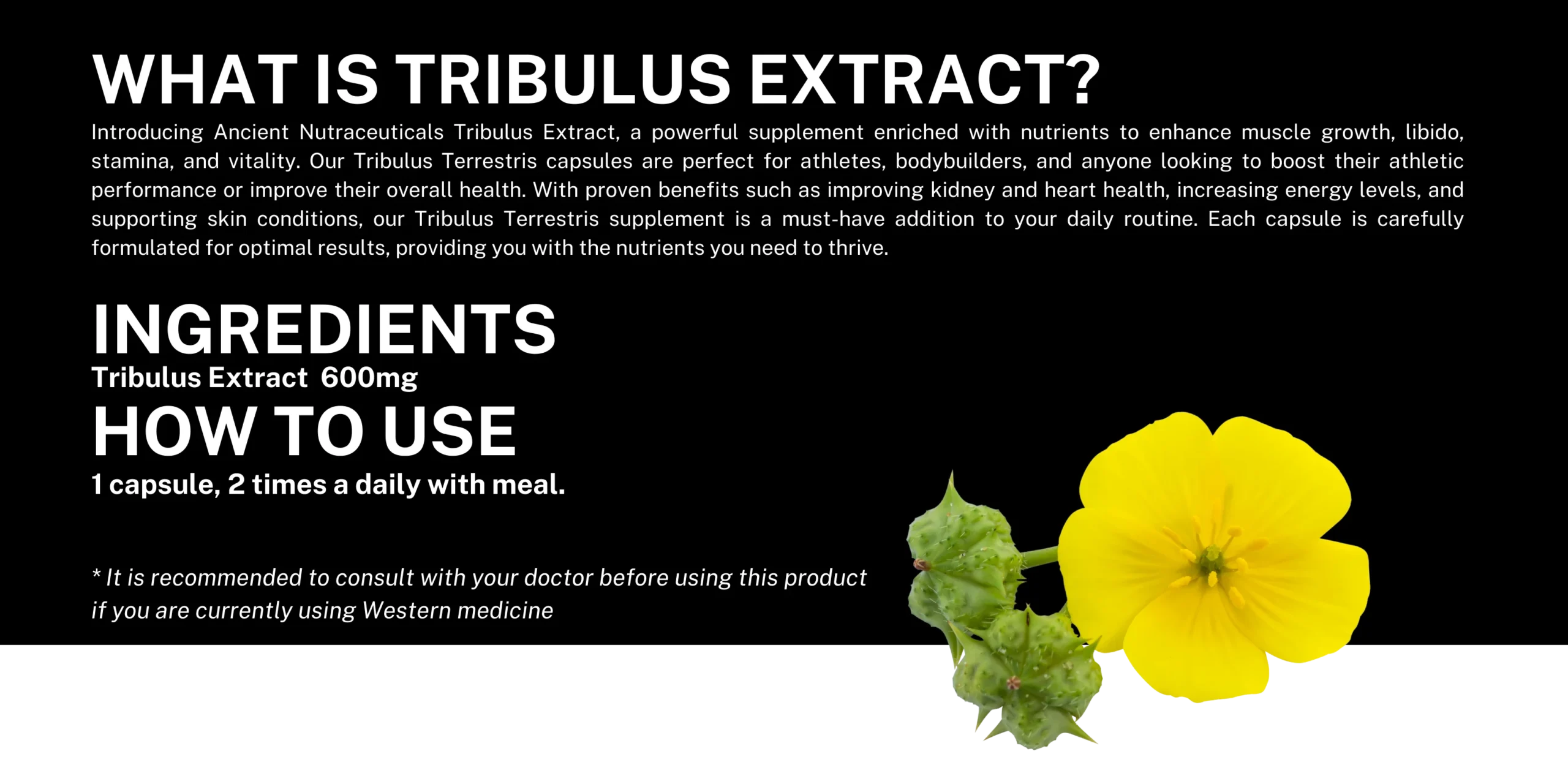 Tribulus_Extract_2