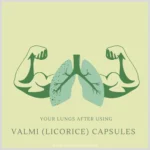 Licorice Root (Valmi) - 60 capsules - Image 3