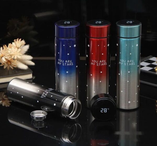 LED Digital Temperature Display Water Bottle