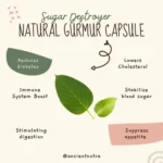 Masbedda Capsule (gurmur) - 60 capsules - Image 3