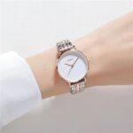 Women's Wristwatch Simple Trendy Quartz Ladies' Watch Gift Watch