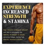 Himalayan Shilajit Resin - 20Gms , Boosts Performance - Image 2