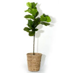 Nature’s Canvas Leaves Pot, Fake Leaves, Silk Leaves Arrangements for Home ,Office Parties