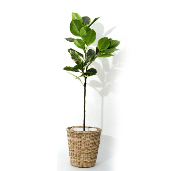 Nature's Canvas Leaves Pot, Fake Leaves, Silk Leaves Arrangements for Home ,Office Parties