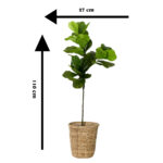 Nature’s Canvas Leaves Pot, Fake Leaves, Silk Leaves Arrangements for Home ,Office Parties - Image 2