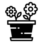 Flower & Gifts