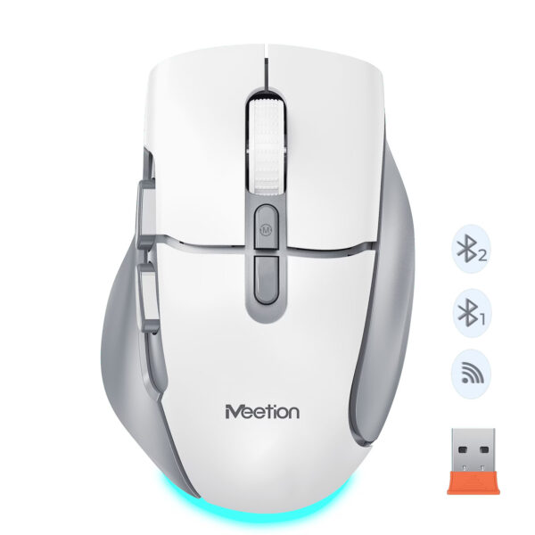 Wireless Dual-Mode Ergonomic Mouse BTM001