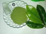 Dehydrated Soursop Leaves Powder - Image 3