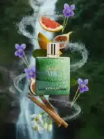 Rayhaan Jungle Vibe 100ml EDP - Image 3