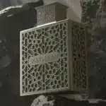 Rayhaan Terra Perfume 100ml EDP - Image 2