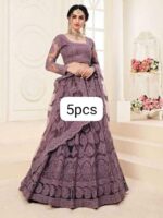 Ethereal Chain-Work Net Lehnga Choli Set with Jalar Border - Image 5