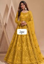 Ethereal Chain-Work Net Lehnga Choli Set with Jalar Border - Image 6