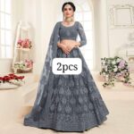 Ethereal Chain-Work Net Lehnga Choli Set with Jalar Border - Image 7