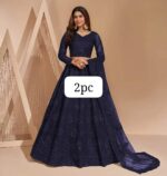 Ethereal Chain-Work Net Lehnga Choli Set with Jalar Border - Image 11